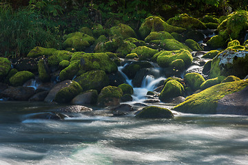 Image showing Fast mountain river in Altay