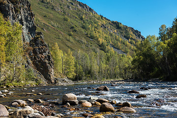 Image showing Fast mountain river in Altay