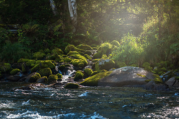 Image showing Fast mountain river in Altay