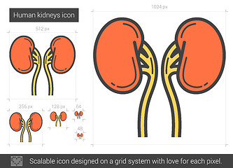 Image showing Human kidneys line icon.