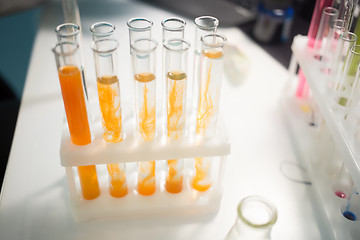 Image showing Tubes with reagents on stand