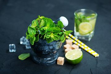 Image showing fresh mint