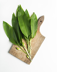 Image showing Wild garlic