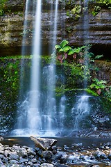 Image showing Waterfall in the forest