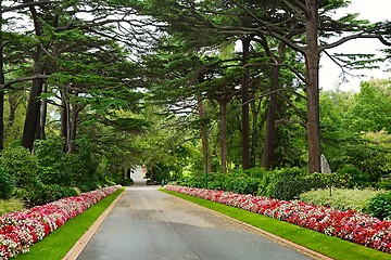 Image showing Green park with trees