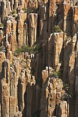 Image showing Rugged coastline cliffs