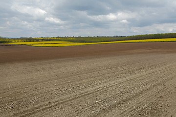 Image showing Agircutural field with brown soil