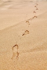 Image showing Footsteps in Sand