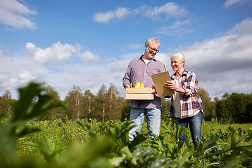 Image showing happy senior couple with squashes at farm