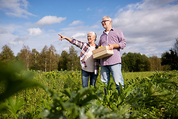 Image showing happy senior couple with box of squashes at farm