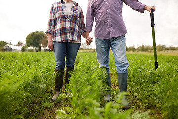 Image showing happy senior couple at summer farm