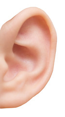 Image showing human ear