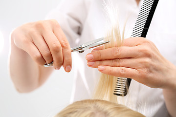 Image showing Undercutting the split ends of hair