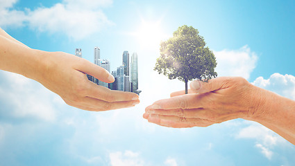 Image showing hands holding green oak tree and city buildings