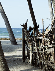 Image showing little vietnamese house on seacoast among palms and sand