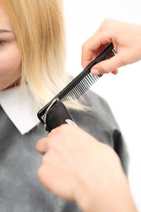 Image showing Haircut.