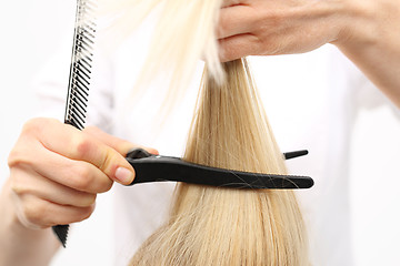 Image showing Clipping, combing woman at the hairdresser