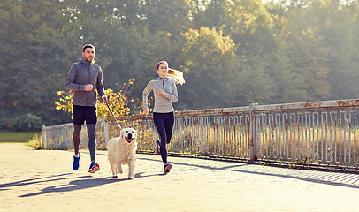 Image showing happy couple with dog running outdoors