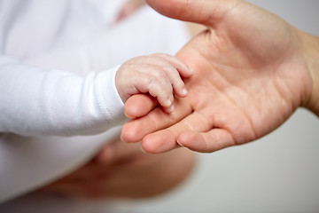 Image showing close up of mother and newborn baby hands