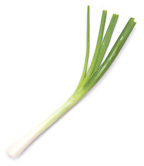 Image showing green onion