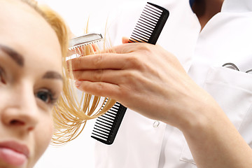 Image showing haircut bangs , woman at the hairdresser 