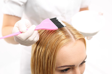 Image showing Coloring hair salon. Hair dyeing. Barber hair dye is applied with a brush 