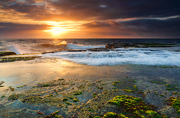 Image showing Low tide at Narrabeen