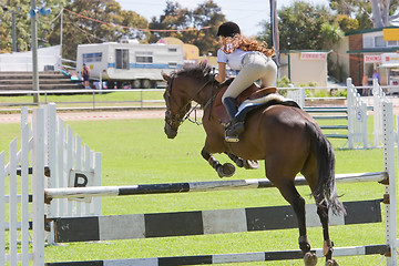 Image showing Horse Jumping