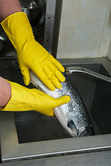 Image showing cleaning salmon fish