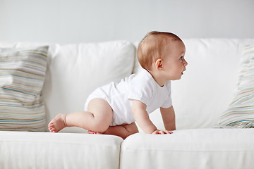 Image showing little baby in diaper crawling along sofa at home