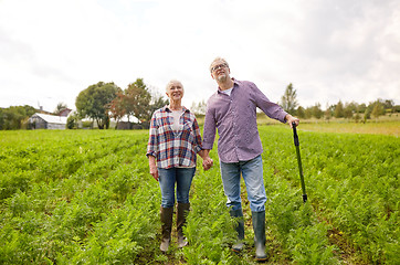 Image showing happy senior couple at summer farm