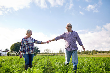 Image showing happy senior couple holding hands at summer farm