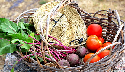 Image showing Vegetable basket.