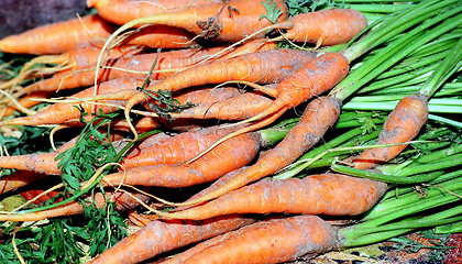 Image showing Organic carrots.