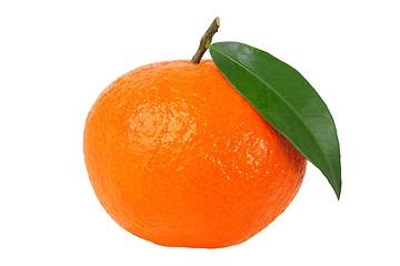 Image showing Mandarin orange with leaf