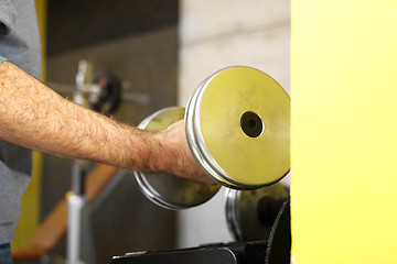 Image showing Gym, dumbbells. Trainer in the gym, training with weights