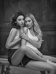 Image showing Two beautiful women in erotic lingerie