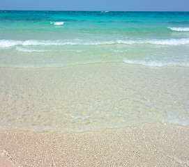 Image showing tropical beach