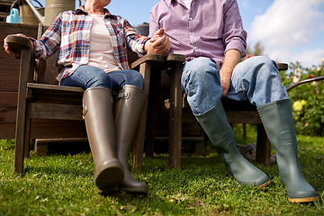 Image showing happy senior couple at summer farm