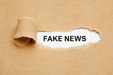 Image showing Fake News Torn Paper Concept