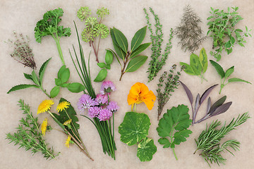 Image showing Fresh Herb Food Sampler