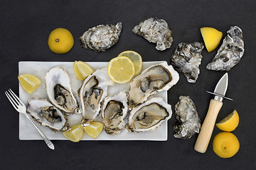 Image showing Fresh Oysters Aphrodisiac Food