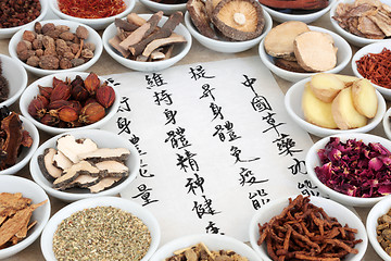 Image showing Traditional Chinese Herbal Medicine