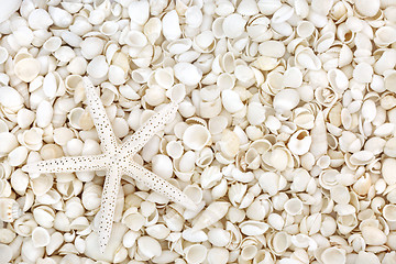 Image showing Starfish and Seashell Beauty