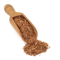 Image showing Catuaba Bark Herb