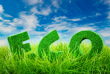 Image showing Eco concept Letters on the green grass on blue sky background.