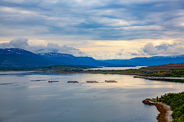 Image showing Farm salmon fishing