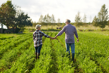 Image showing happy senior couple holding hands at summer farm