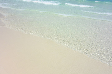 Image showing tropical beach