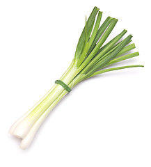 Image showing green onion